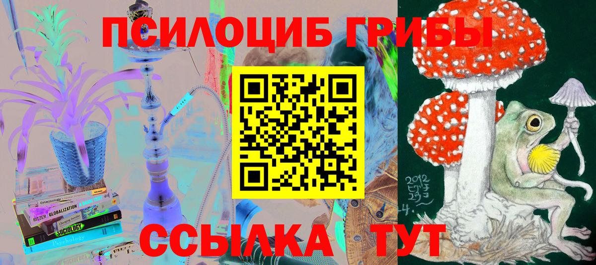 Галлюциногенные грибы Magic Shrooms Скопин