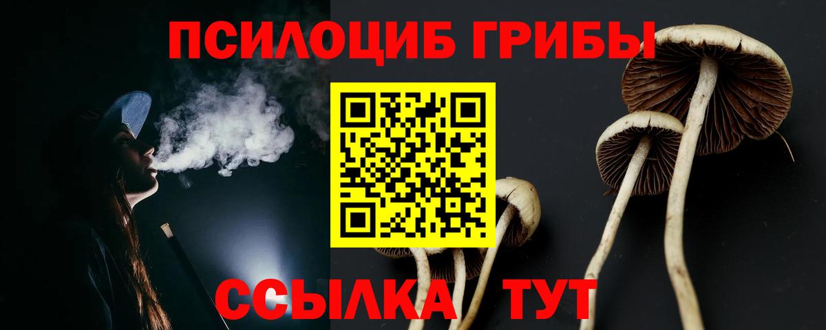 Псилоцибиновые грибы MAGIC MUSHROOMS  цены   Скопин  Вход с VPN 